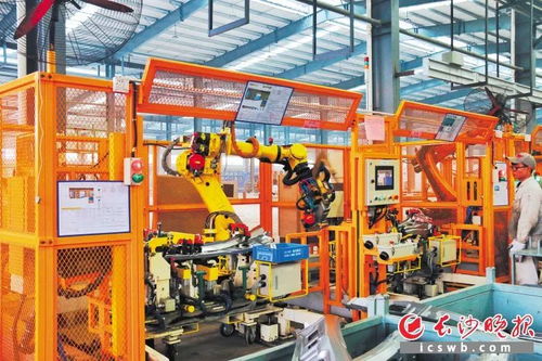 產業引擎加速 財富雨花綻放